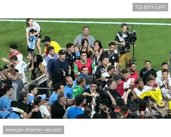 美洲杯激战全记录:回顾荣耀与巅峰对决 美洲杯激战全记录:回顾荣耀与巅峰对决