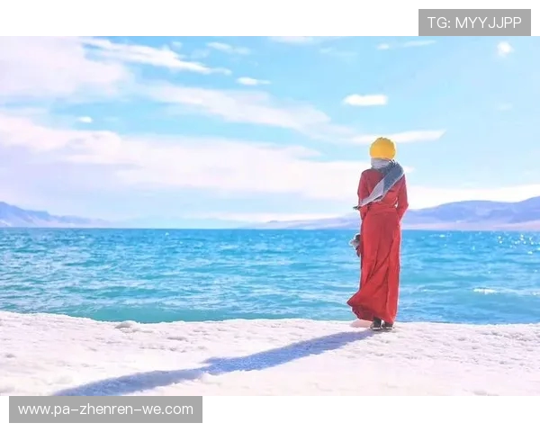 《在体育馆的邂逅：一段从赛场到心灵的爱恋旅程》